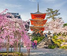 Image result for Japanese Temple Cherry Blossom
