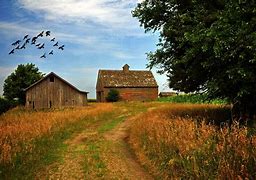 Image result for European Farmland