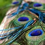 Image result for Feather Wallpaper