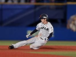 Image result for Chiba NPB