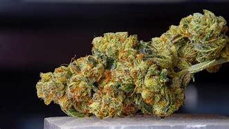 Image result for Weed Covered in Trichomes