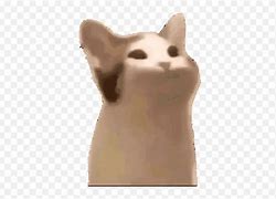 Image result for Cat with Rice Hat Emoji Discord