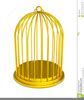 Image result for Empty Cage Cartoon