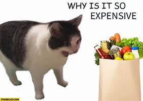 Image result for Groceries Are so Expensive Meme