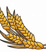 Image result for Wheat Graphics Clip Art