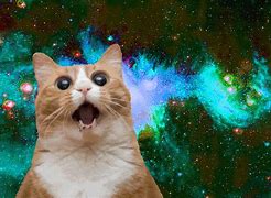 Image result for Awesome Galaxy Cat