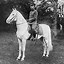 Image result for Japan Emperor Hirohito