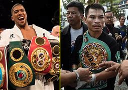 Image result for Current Boxing Champions