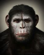 Image result for Planet of the Apes Face Paint