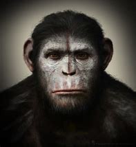 Image result for Ape Artwork