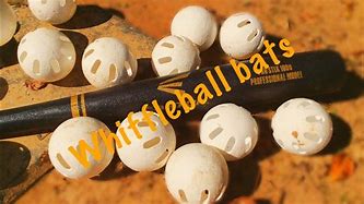 Image result for Wiffle Ball Bats Easton