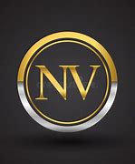 Image result for NV Logo in Orange Color