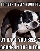 Image result for Funny Animal Jokes with Pictures