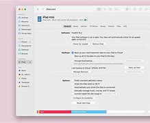 Image result for iPad Mini Settings