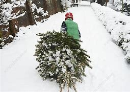 Image result for Christmas Tree Dragging