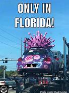 Image result for Florida State Florida Memes
