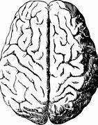 Image result for Big Brain Wojak