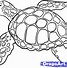 Image result for Turtle Cartoon Coloring