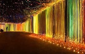 Image result for Fiber Optic Cable Artistry
