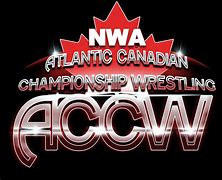 Image result for South Atlantic Pro Wrestling Logo