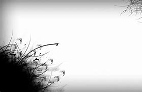 Image result for Black and White Background Wallpaper