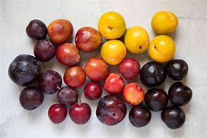Image result for Small Plum Like Fruit