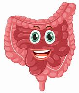 Image result for Colon ClipArt