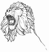 Image result for Trance Lion Line Art