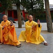 Image result for Wing Chun Style