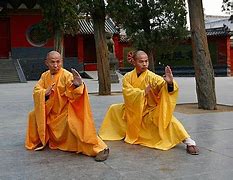 Image result for Southern Kung Fu