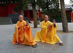 Image result for Types of Kung Fu Styles