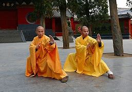 Image result for Wing Chun Dragon