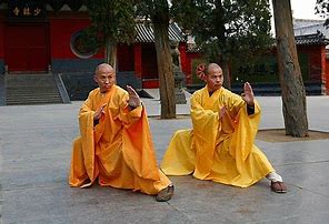 Image result for Wu Zhang Tai Chi
