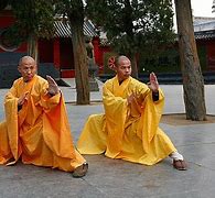 Image result for Chinese Martial Arts Styles