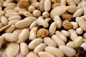 Image result for Different Types of Seeds
