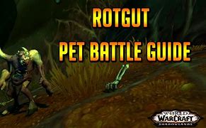 Image result for Rotgut Pet Battle