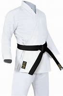 Image result for Karate Gi Colors