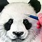 Image result for Panda Bear Animal