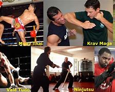 Image result for Which martial art is the the most dangerous?