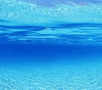 Image result for Underwater Laptop Wallpaper