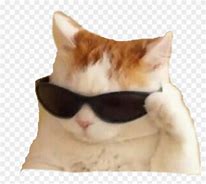 Image result for Cool Cat Meme Sticker