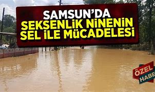 Image result for Samsun Sel