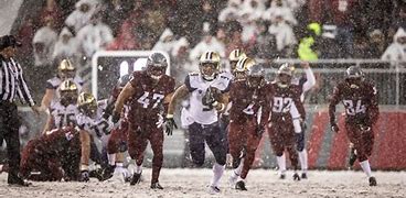 Image result for Apple Cup Snow Bowl