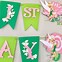 Image result for Tinkerbell Birthday Party Wall