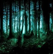 Image result for Dark Creepy Forest Wallpaper