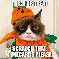 Image result for grumpiest cats halloween meme