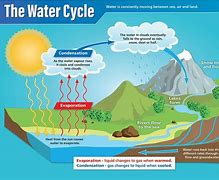 Image result for Science Cycle