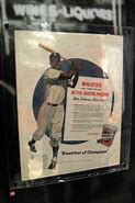 Image result for Jackie Robinson Life Rookie Card