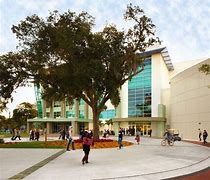 Image result for ringling college of art and design