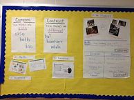 Image result for Compare and Contrast 5th Grade